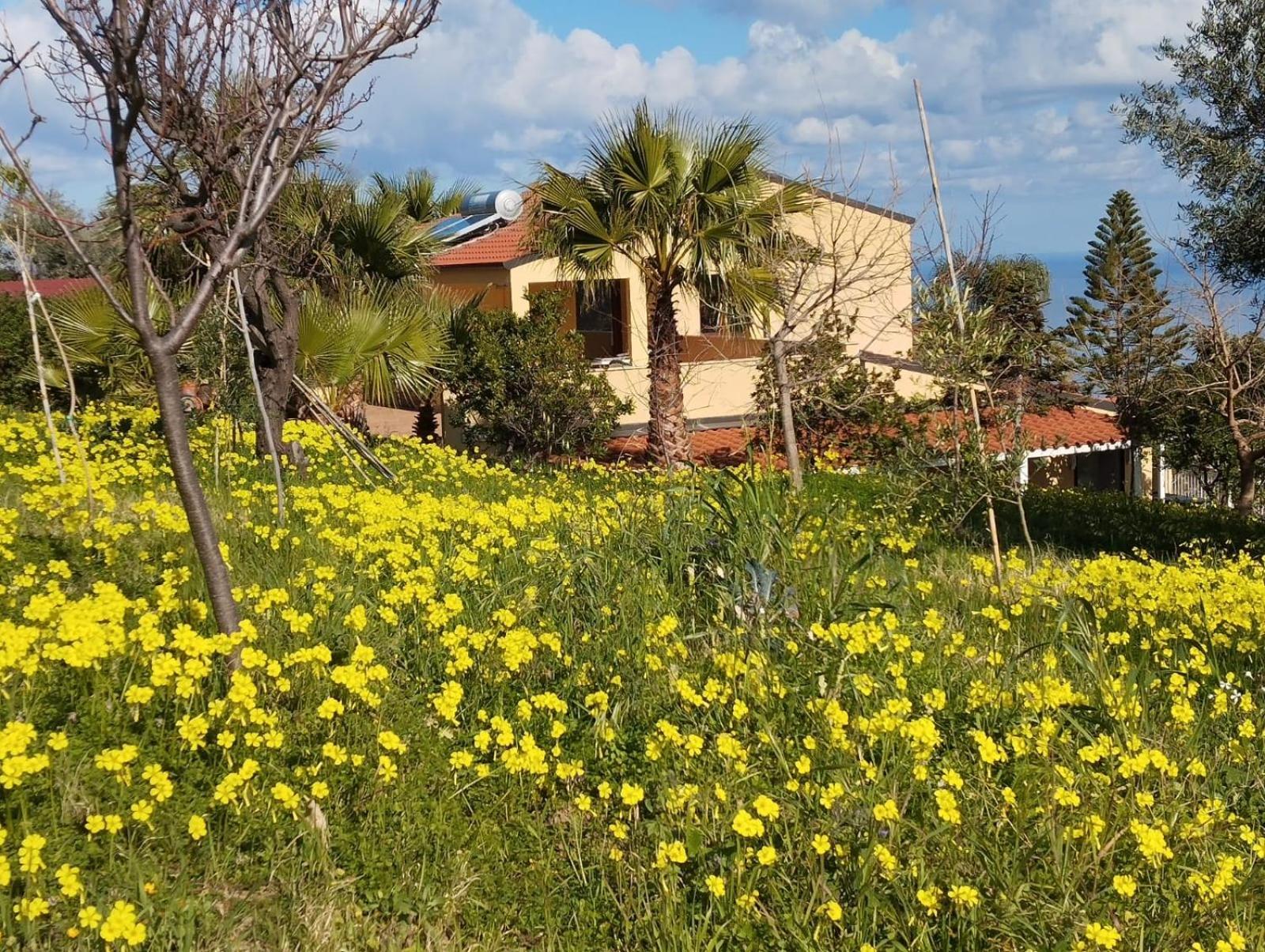 Casa Delle Palme Lejlighed Cefalù Eksteriør billede