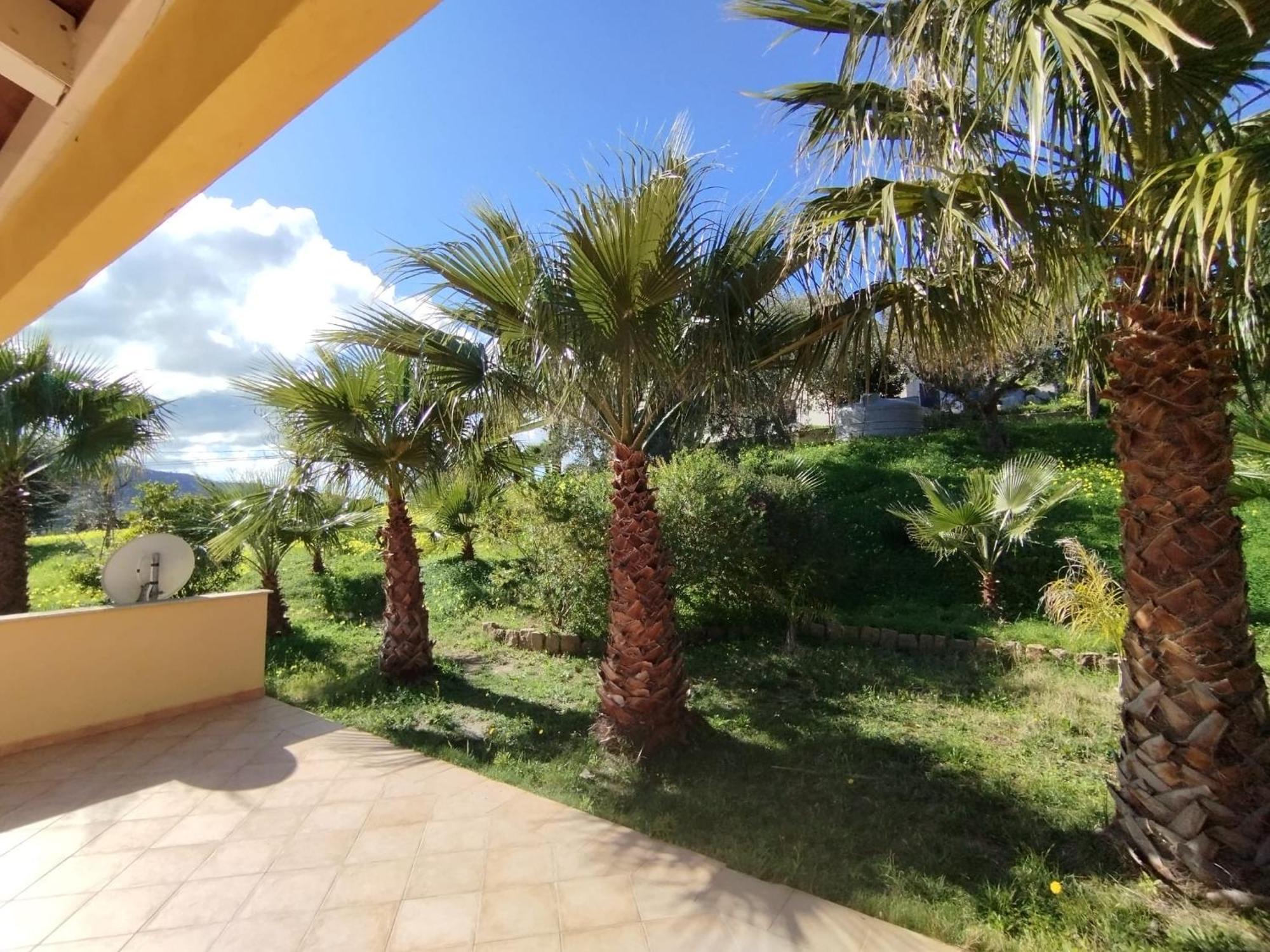 Casa Delle Palme Lejlighed Cefalù Eksteriør billede