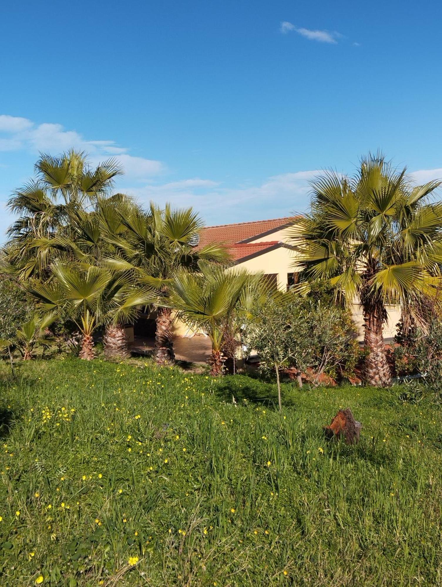 Casa Delle Palme Lejlighed Cefalù Eksteriør billede